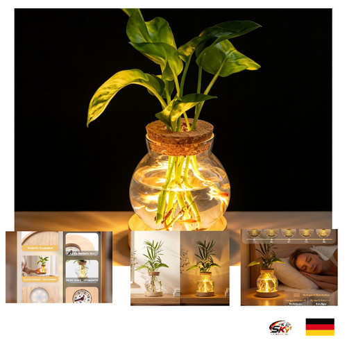 Led vase mit - led, dimmer
