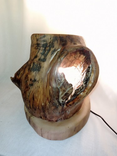 Holzlampe treibholz - holzlampe,